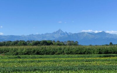 L’agricoltura del futuro nella giornata dimostrativa di Fondazione Podere Pignatelli